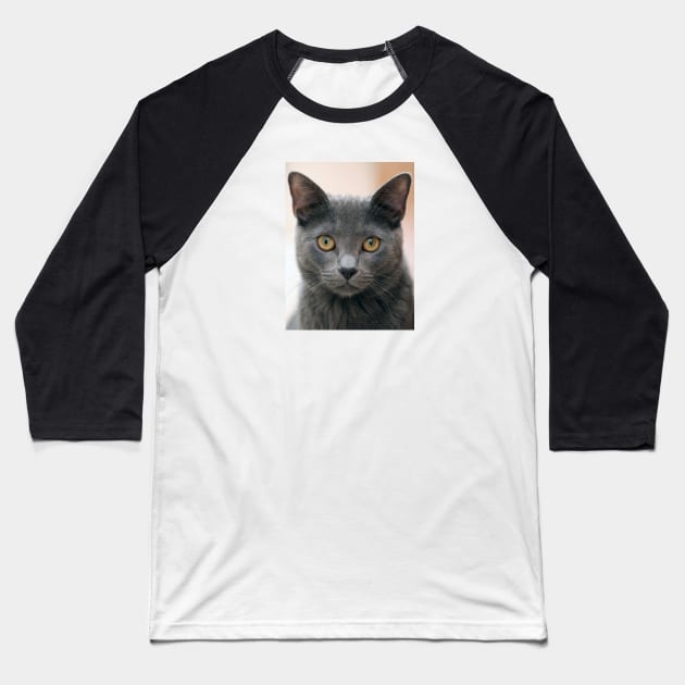 Russian Blue Cat Baseball T-Shirt by Kelly Louise Art